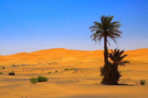 DAR AMMAR Hassilabiad-Merzouga